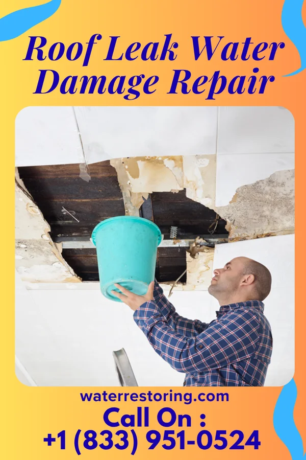 Roof Leak Water Damage Repair in Diller, NE